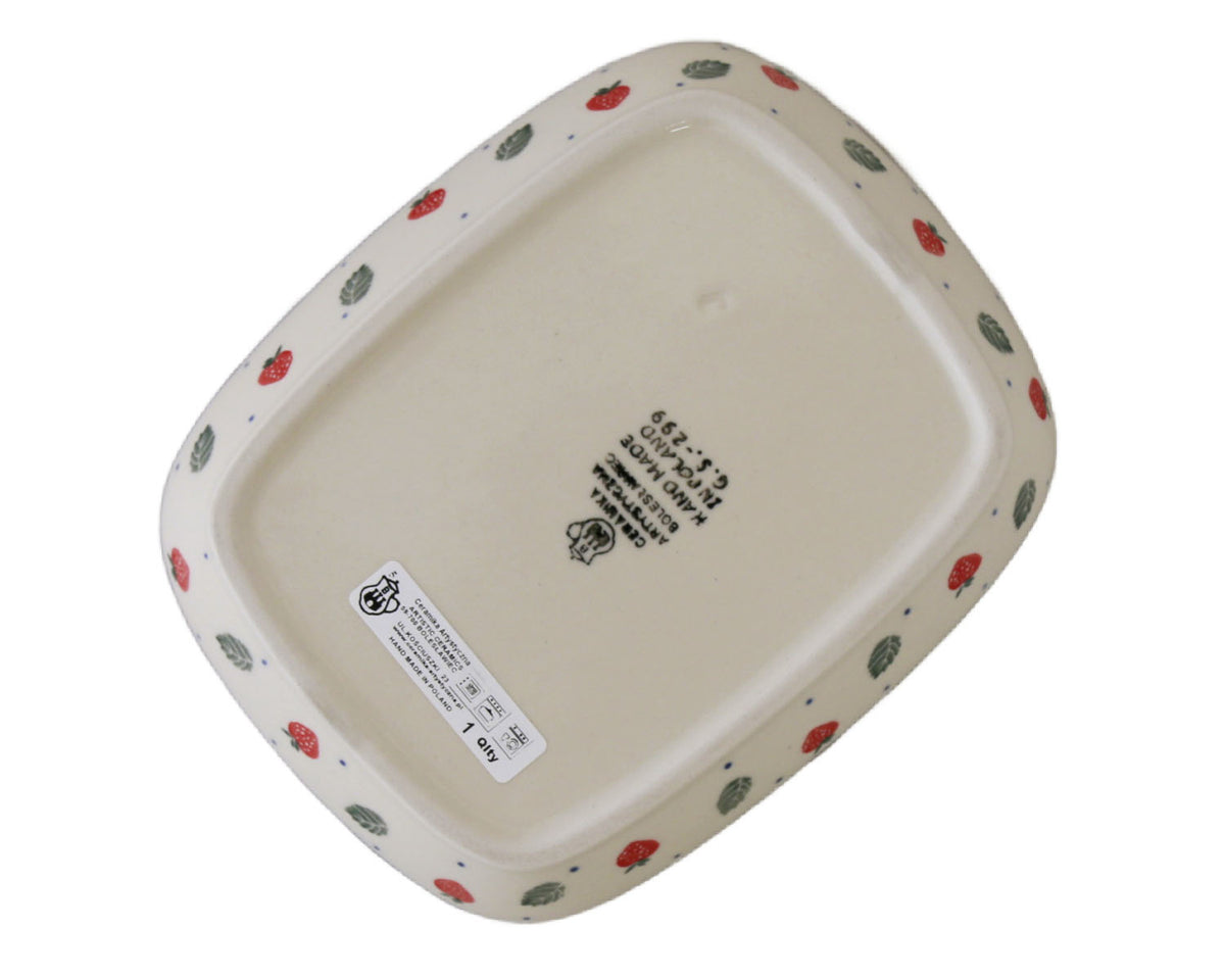 Rectangular Snack Plate