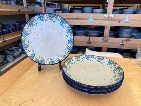 CLEARANCE 10.5" Dinner Plate